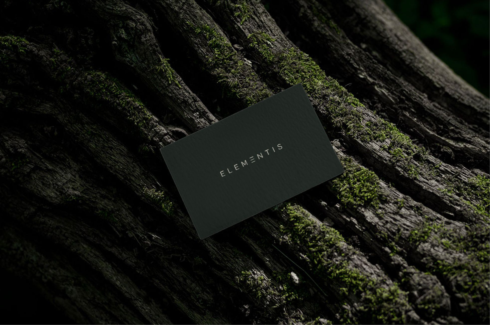 ELEMENTIS Website by Fleava - Bali, Jakarta & Singapore Digital Agency