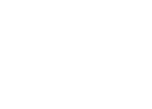 Orascom Development