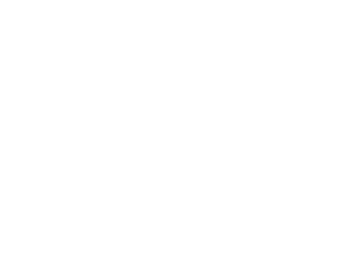 BNI BNI