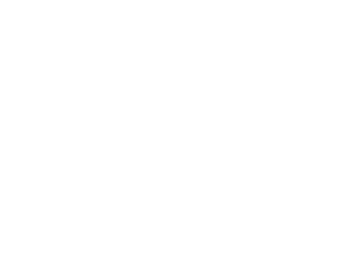 Boga Group Boga Group