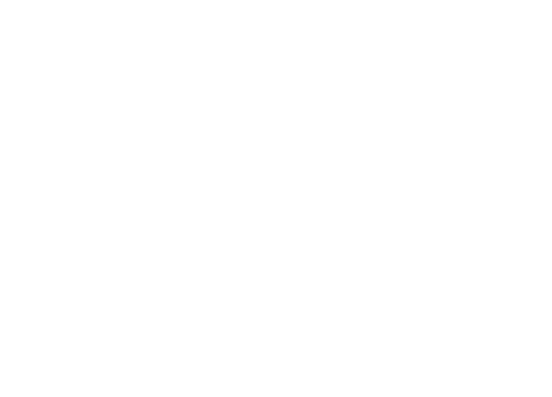 Boga Group