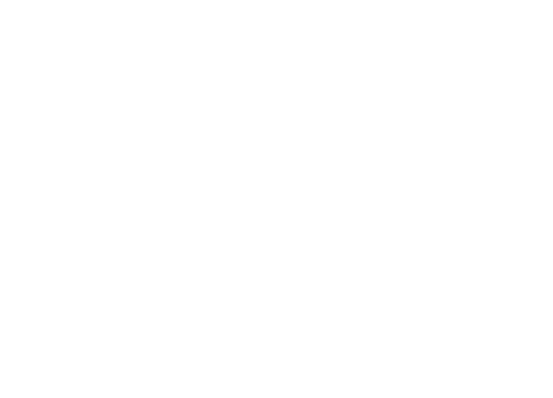 Google Partner